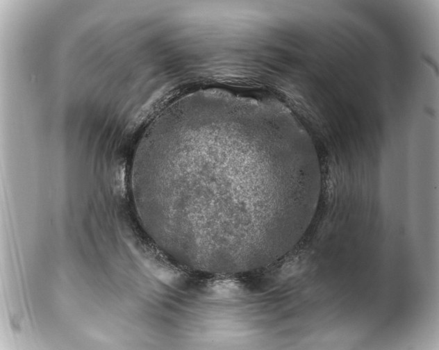 X0000102490262200808151503