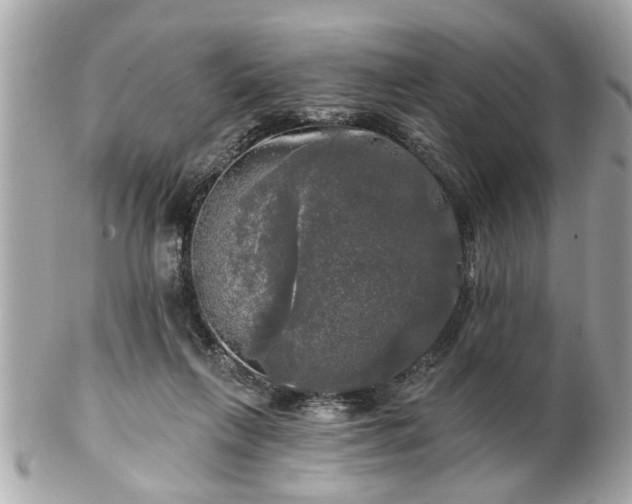 X0000102490263200808151503