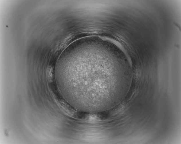 X0000102490264200808151503