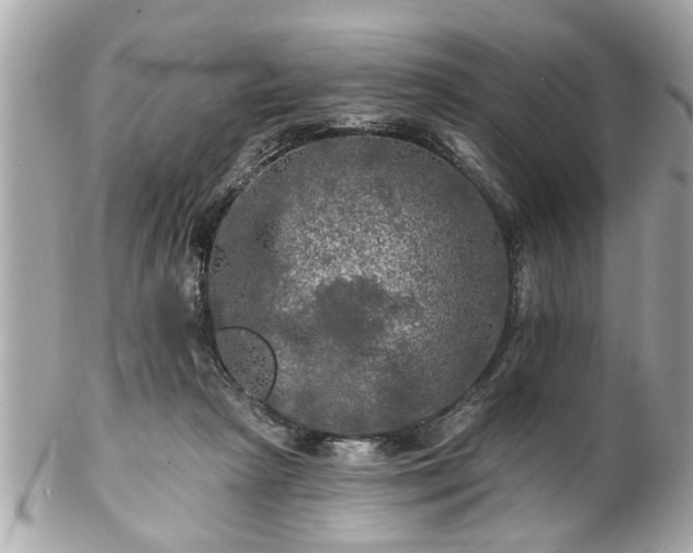 X0000102490265200808151503