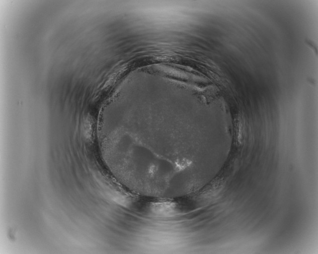 X0000102490266200808151503