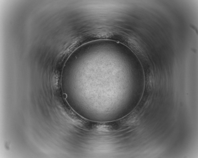 X0000102490268200808151503