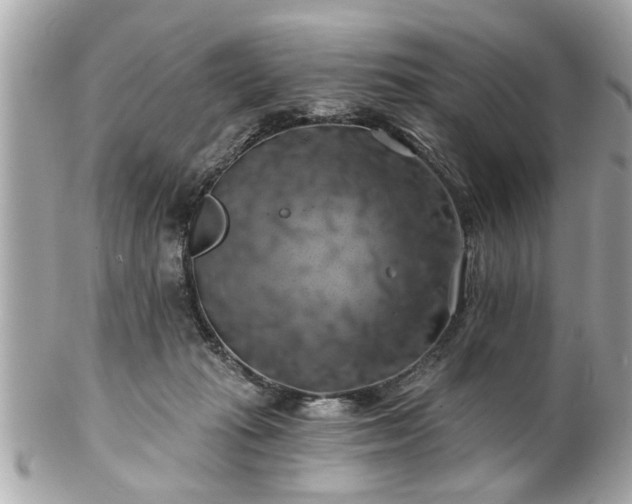 X0000102490269200808151503