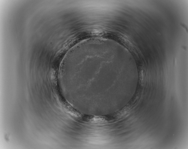 X0000102490270200808151503