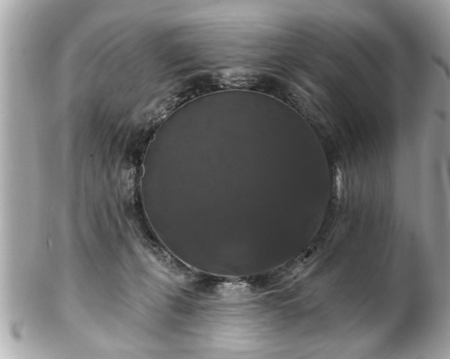 X0000102490271200808151503