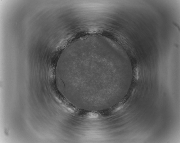 X0000102490272200808151503