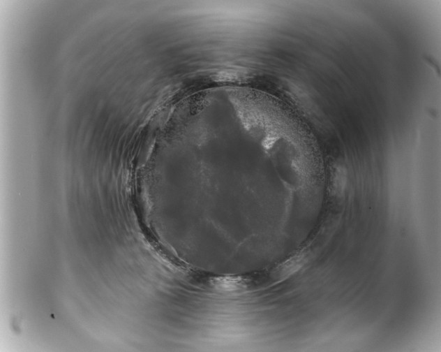 X0000102490273200808151503