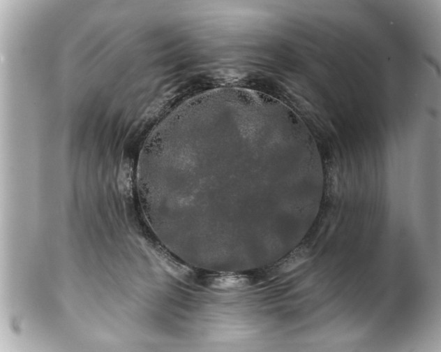 X0000102490274200808151503