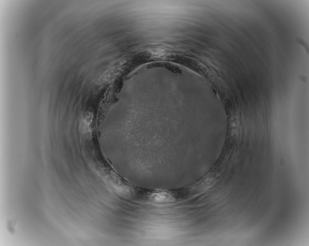 X0000102490275200808151503