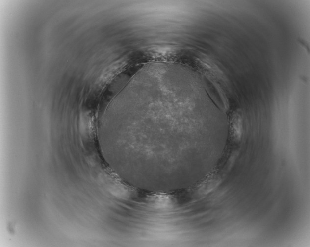 X0000102490276200808151503