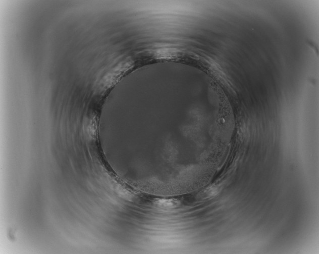 X0000102490277200808151503