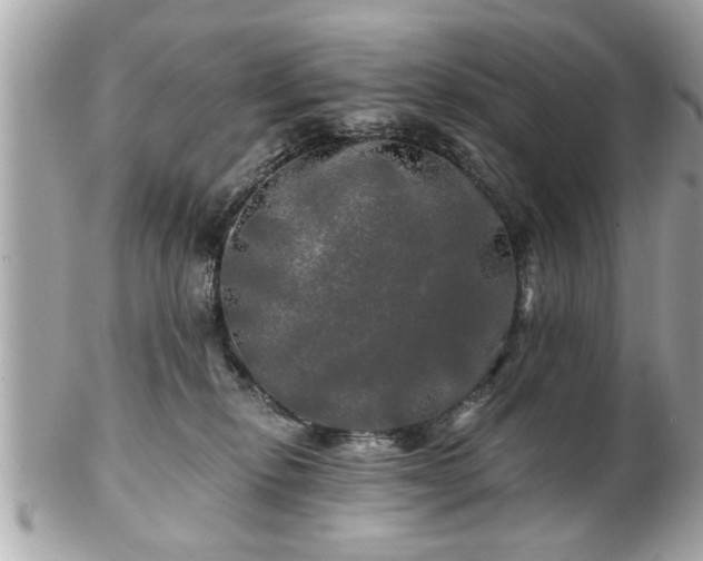 X0000102490278200808151503