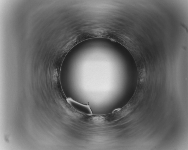 X0000102490279200808151503