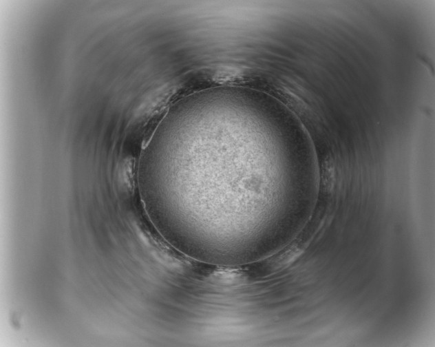 X0000102490280200808151503