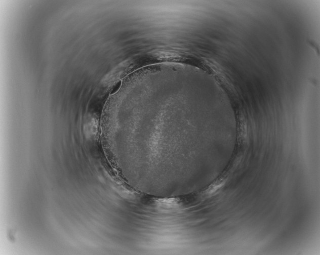 X0000102490281200808151503