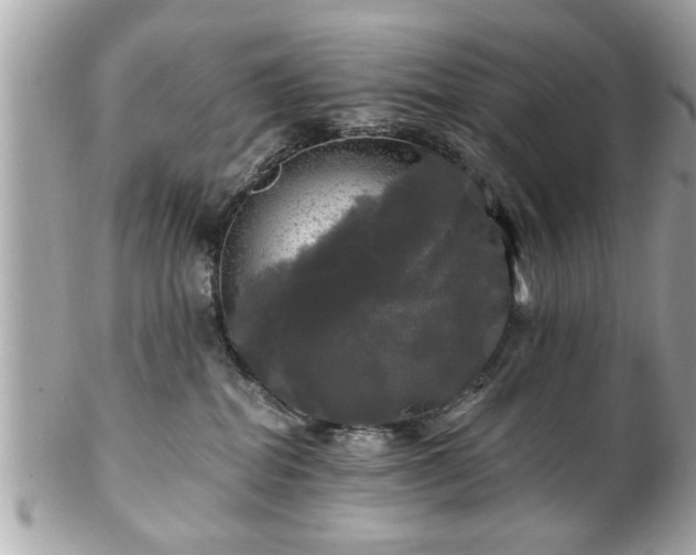 X0000102490282200808151503