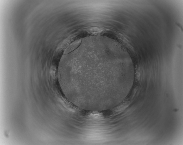 X0000102490283200808151503