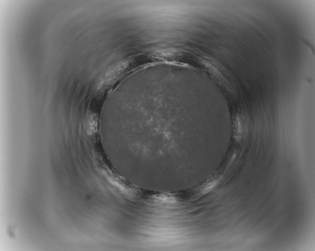 X0000102490284200808151503