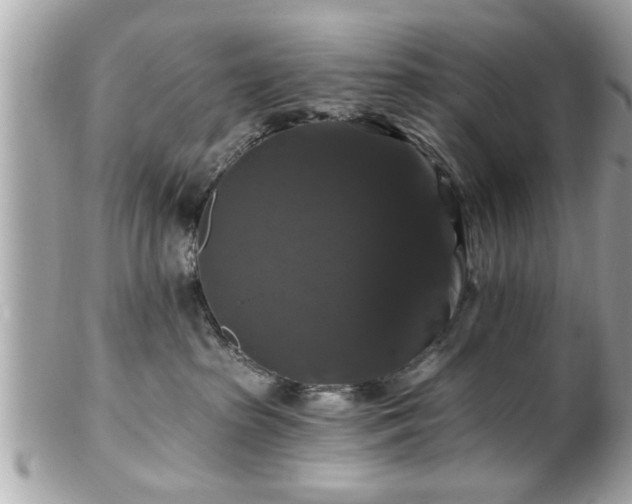 X0000102490285200808151503