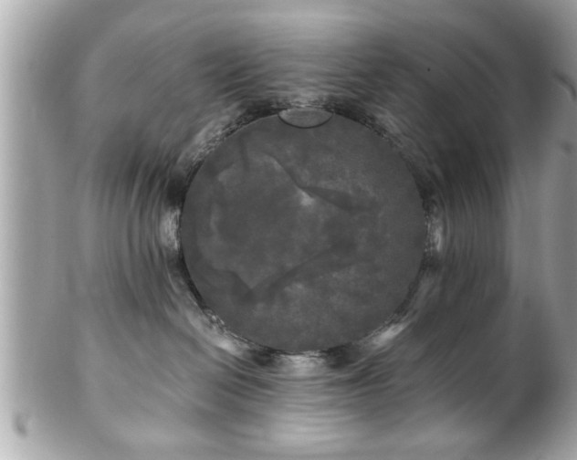 X0000102490286200808151503