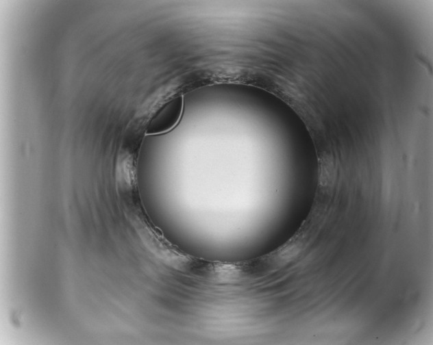 X0000102490287200808151503