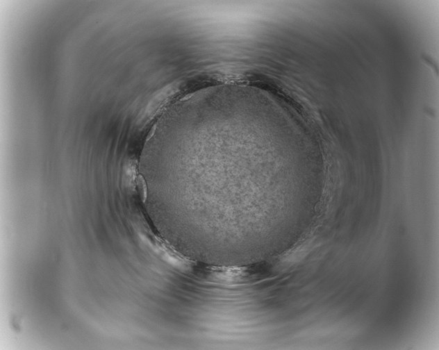 X0000102490288200808151504