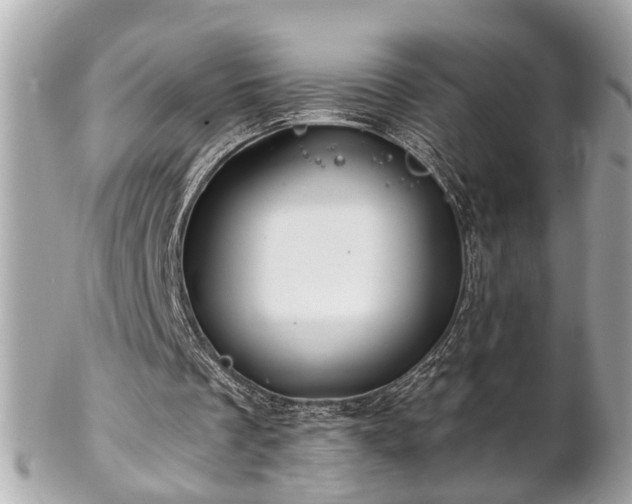 X0000102490289200808151503