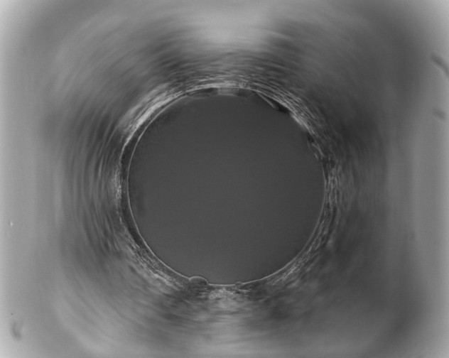 X0000102490290200808151503