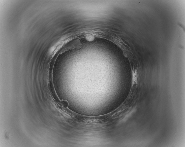 X0000102490291200808151503