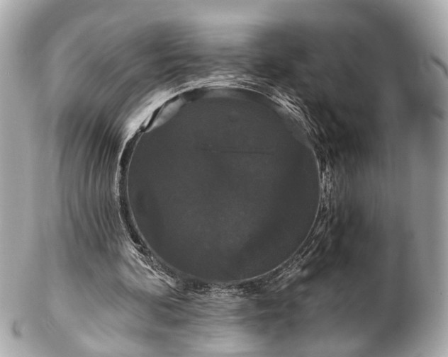 X0000102490292200808151503