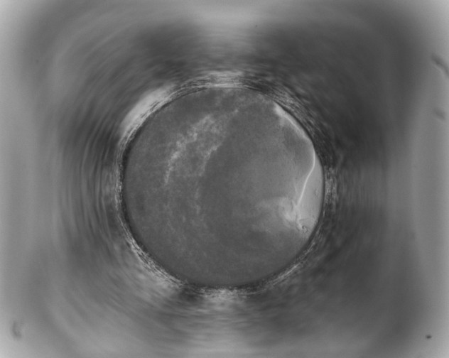 X0000102490293200808151503