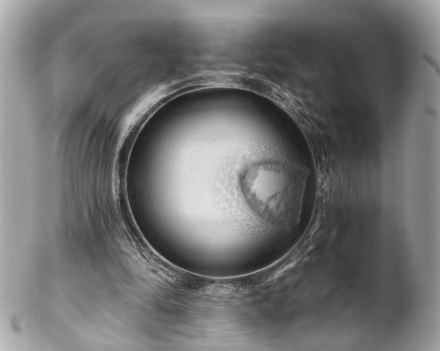 X0000102490294200808151503