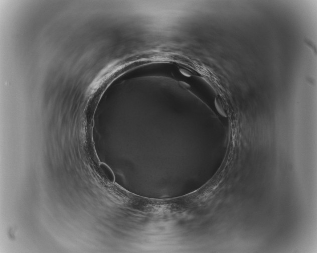 X0000102490295200808151503