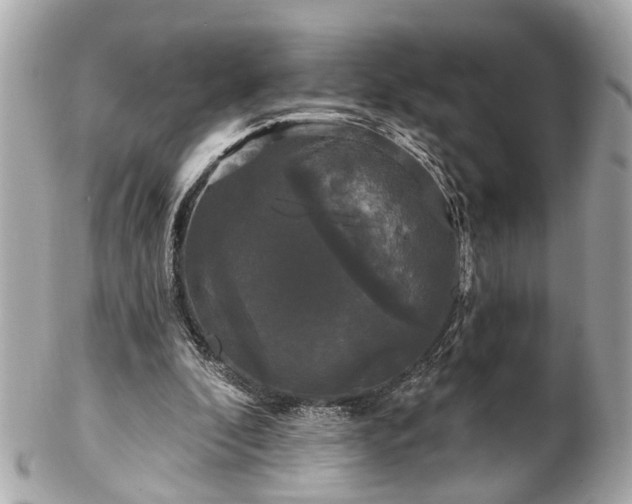 X0000102490296200808151503