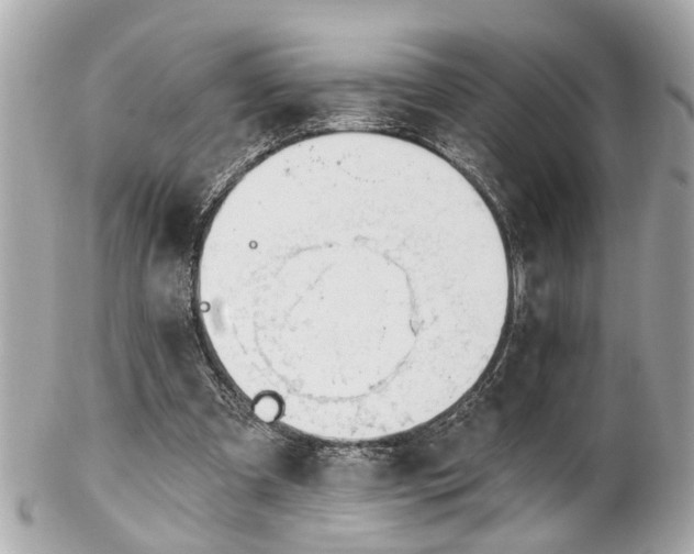 X0000102490297200808151503