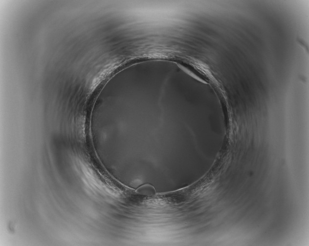 X0000102490299200808151503