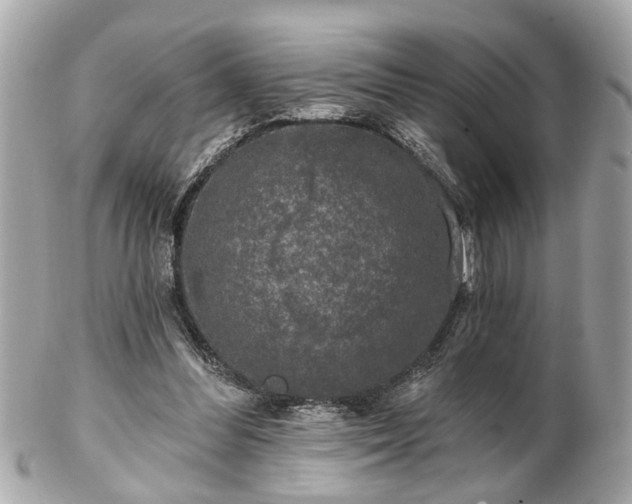 X0000102490300200808151503