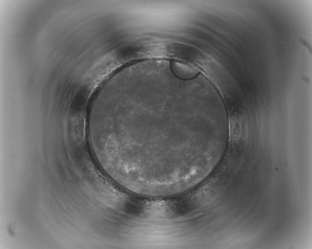 X0000102490301200808151503