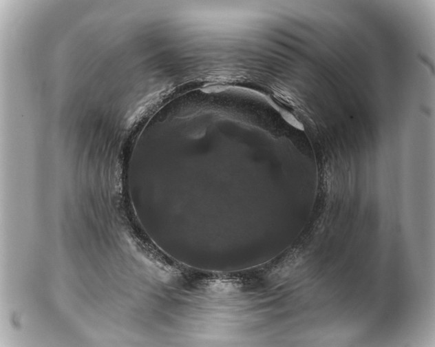 X0000102490303200808151503