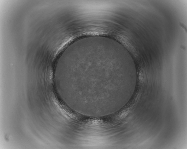 X0000102490304200808151503