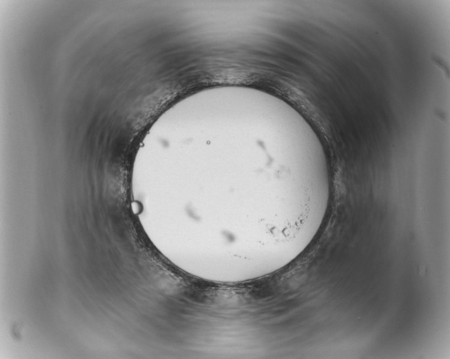 X0000102490305200808151502