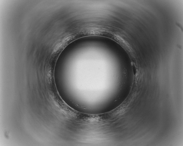 X0000102490306200808151502