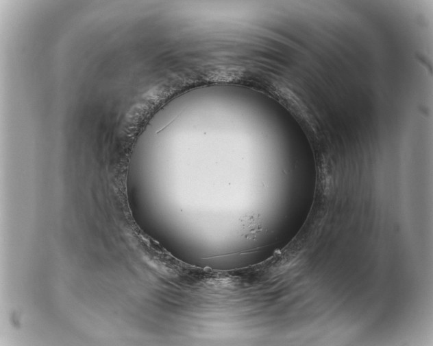 X0000102490307200808151502