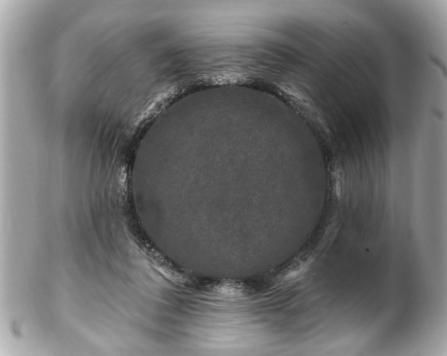 X0000102490308200808151502