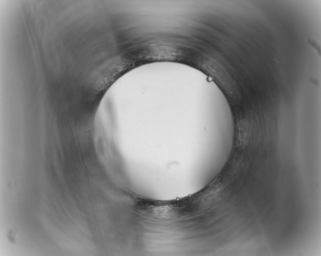 X0000102490309200808151502