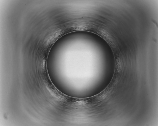 X0000102490310200808151502