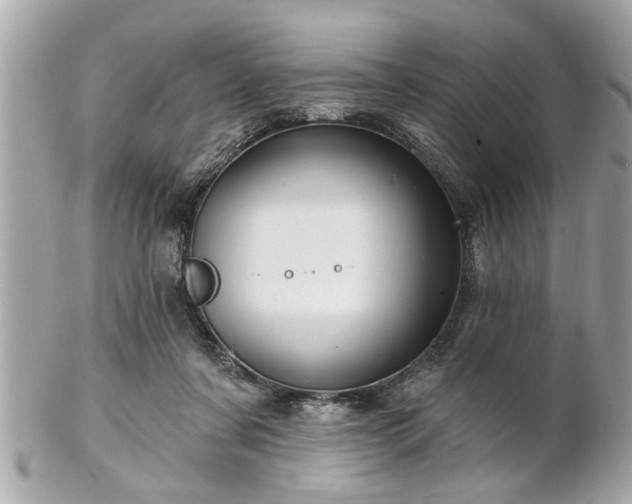 X0000102490311200808151502