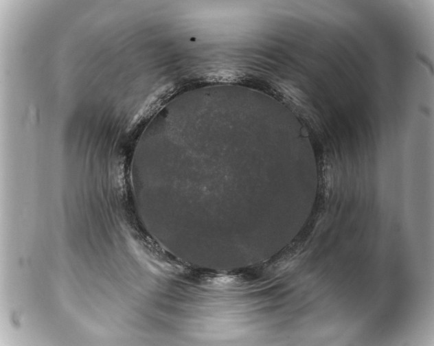 X0000102490312200808151502