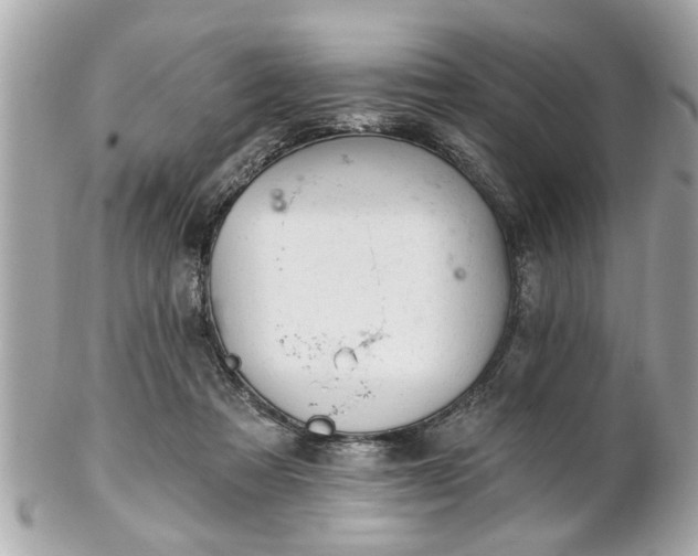 X0000102490313200808151502