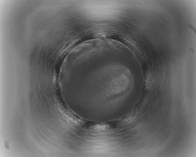 X0000102490314200808151502